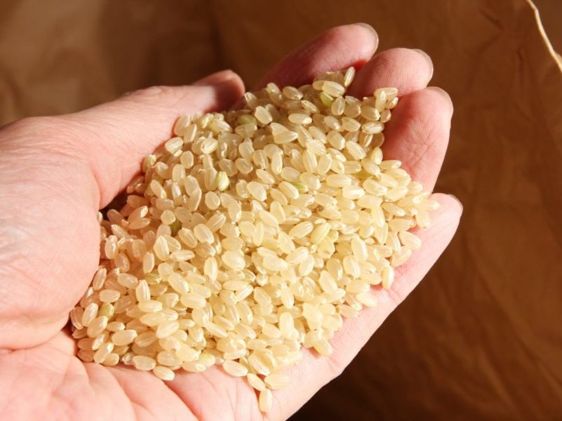 「玄米」とは？お米の特徴を解説