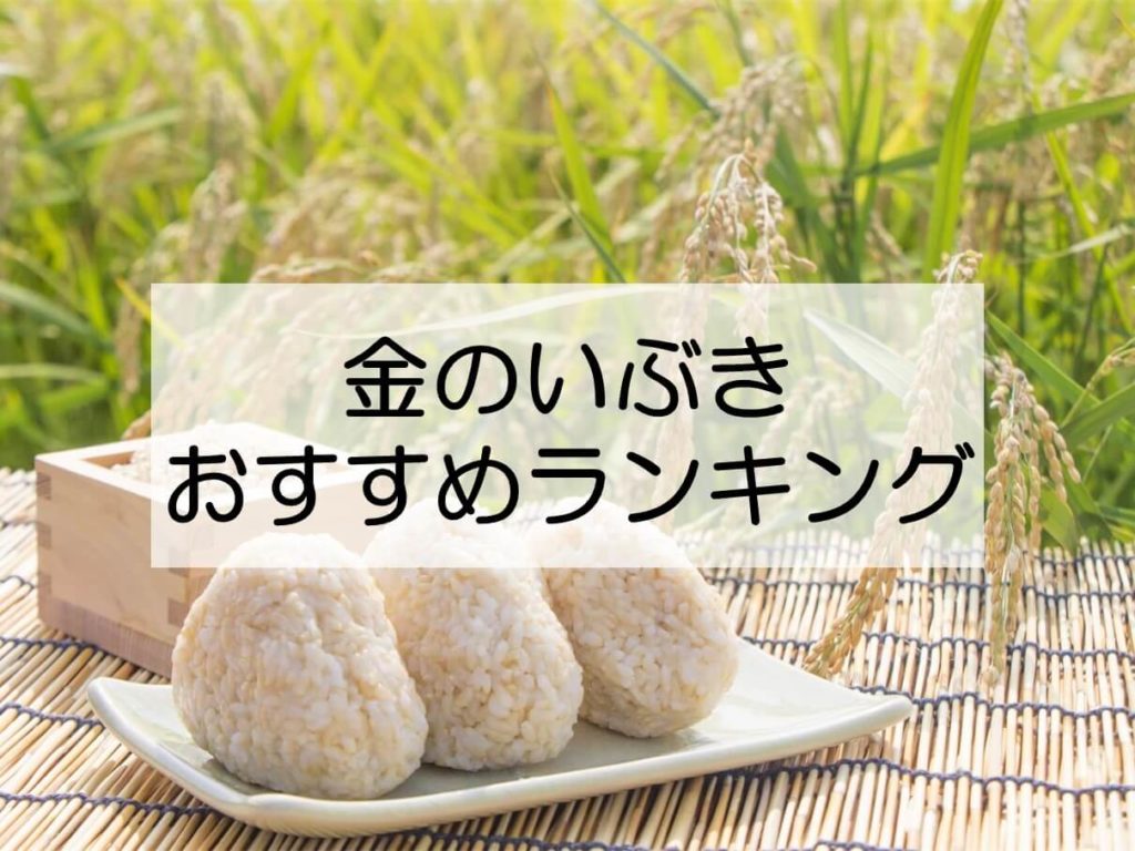 金 の 安い いぶき 炊き 方 鍋