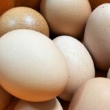 お取り寄せ卵おすすめランキングTOP10！おいしい卵を見つけるポイントを解説